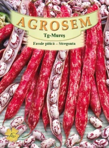 Stregonta 100g - Seminte fasole pitica pentru boabe, culoare tarcata, soi romanesc, Agrosem